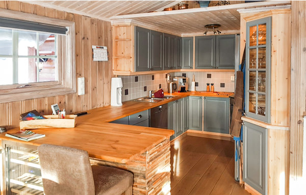 Ferienhaus - Tisleidalen/Valdres , Norwegen - N32059 6