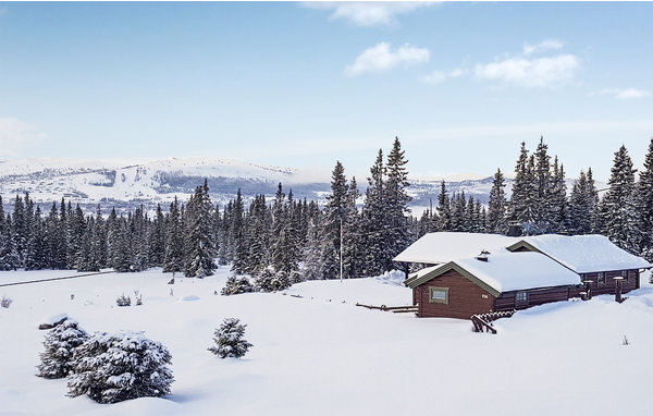Ferienhaus - Tisleidalen/Valdres , Norwegen - N32059 8