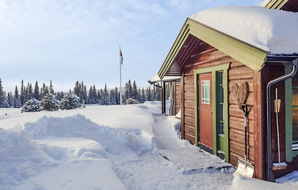 Ferienhaus - Tisleidalen/Valdres , Norwegen - N32059 101