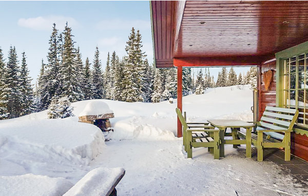 Ferienhaus - Tisleidalen/Valdres , Norwegen - N32059 2