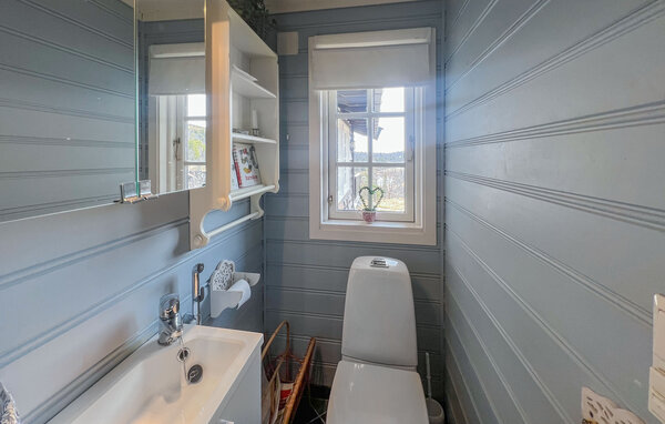 Holiday Home - Valdres/Gamlestølen , Norway - N32092 701