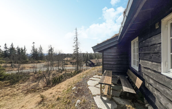 Holiday Home - Valdres/Gamlestølen , Norway - N32092 9