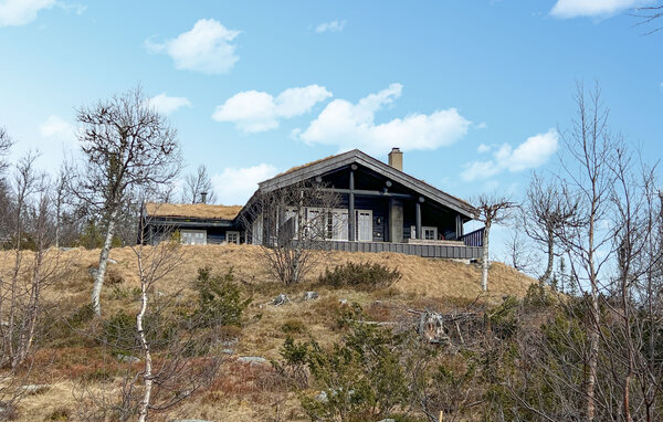 Holiday Home - Valdres/Gamlestølen , Norway - N32092 102