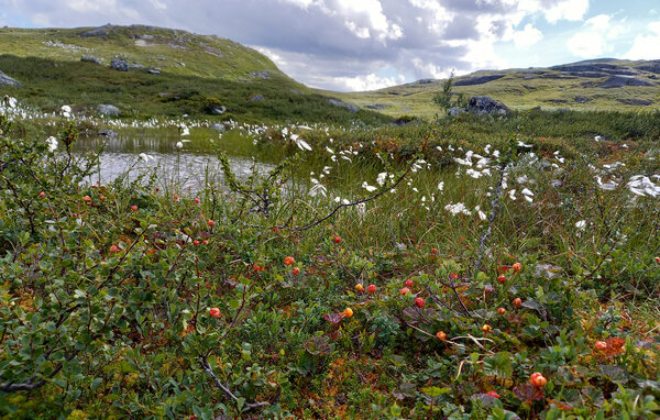 Ferienhaus - Tyinkrysset , Norwegen - N32093 904