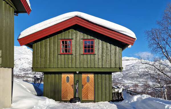 Ferienhaus - Tyinkrysset , Norwegen - N32093 1