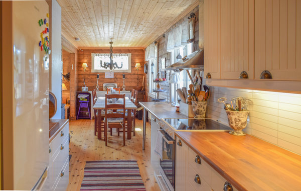 Ferienhaus - Tisleidalen , Norwegen - N32097 6
