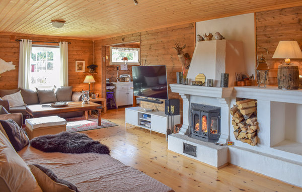 Ferienhaus - Tisleidalen , Norwegen - N32097 4