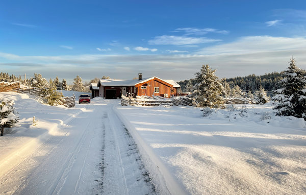 Ferienhaus - Tisleidalen , Norwegen - N32097 82