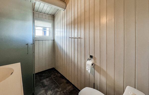 Ferienhaus - Beitostølen , Norwegen - N32103 702