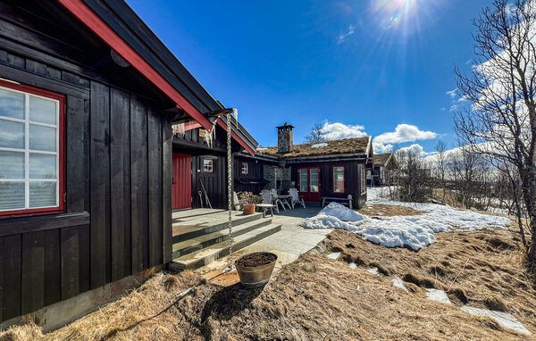 Ferienhaus - Beitostølen , Norwegen - N32103 81