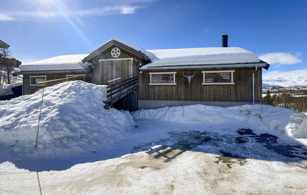 Ferienhaus - Beitostølen , Norwegen - N32106 83