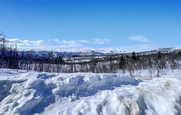 Ferienhaus - Beitostølen , Norwegen - N32106 2