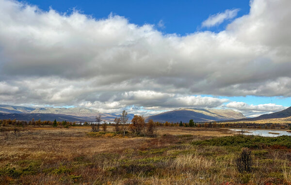 Kuća-za-odmor - Vaset , Norveska - N32111 901