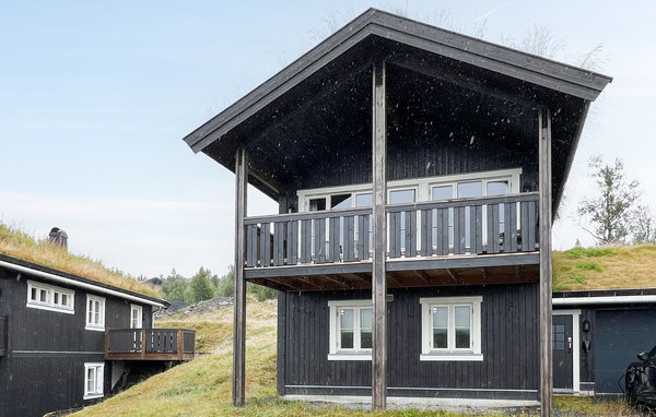 Holiday Home - Valdres/Vaset , Norway - N32161 1