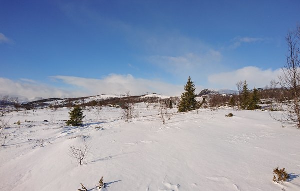 Feriehus - Tyinkrysset , Norge - N32767 907