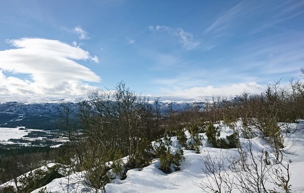 Feriehus - Tyinkrysset , Norge - N32767 908