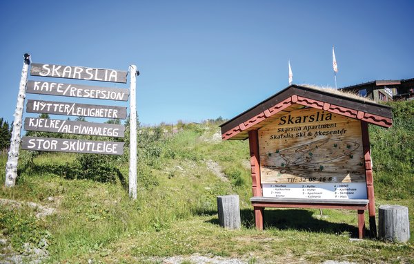 Ferienwohnung - Ål , Norwegen - N33068 901