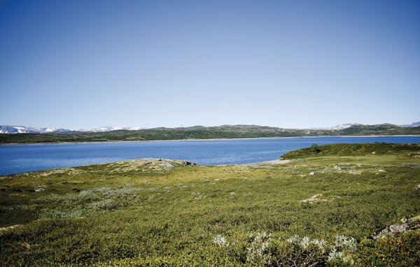 Ferienwohnung - Ål , Norwegen - N33068 903