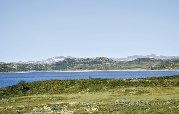Ferienwohnung - Ål , Norwegen - N33068 904