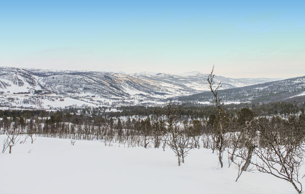Ferienwohnung - Ål , Norwegen - N33068 3