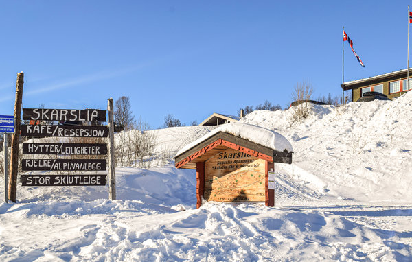 Ferienwohnung - Ål , Norwegen - N33068 4
