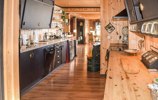 Ferienwohnung - Ål , Norwegen - N33068 9