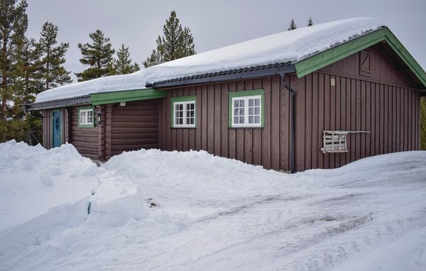 Feriehus - Golsfjellet , Norge - N33077 2