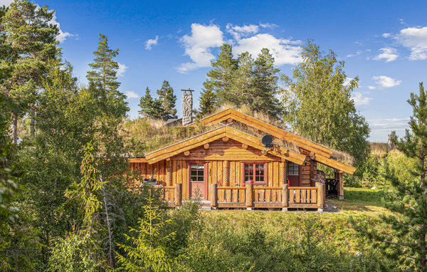 Ferienhaus - Blefjell/Gvelven , Norwegen - N33087 7