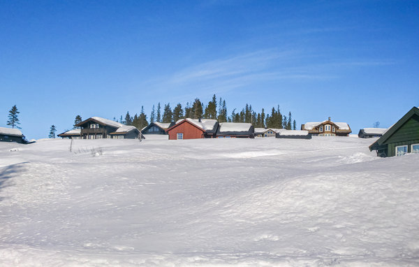 Holiday Home - Blefjell , Norway - N33216 85