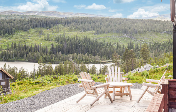 Holiday Home - Blefjell , Norway - N33216 201