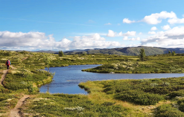 Holiday Home - Uvdal , Norway - N33288 901
