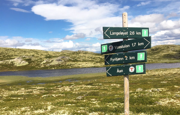 Holiday Home - Uvdal , Norway - N33288 902