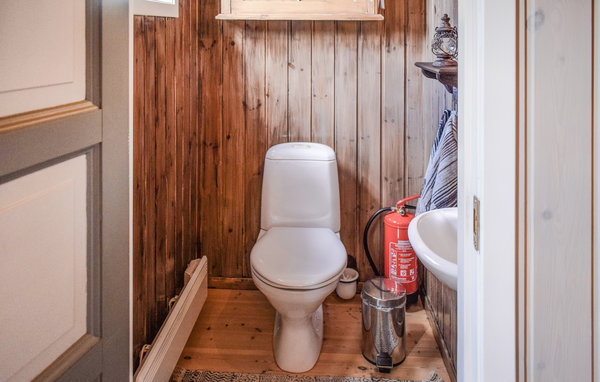 Holiday Home - Uvdal , Norway - N33288 702