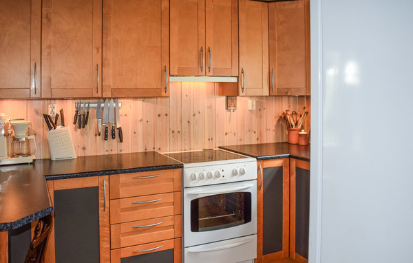 Holiday Home - Uvdal , Norway - N33288 6