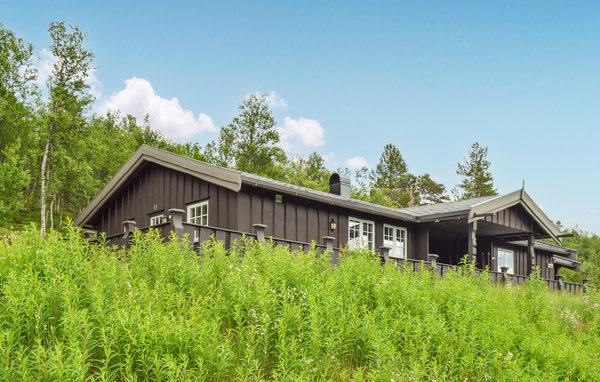 Holiday Home - Uvdal , Norway - N33288 81