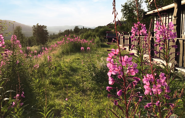 Holiday Home - Uvdal , Norway - N33288 102