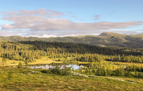 Casa de vacaciones - Vegglifjell , Noruega - N33294 8