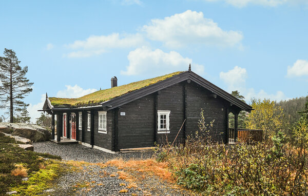 Casa de vacaciones - Blefjell , Noruega - N33330 2