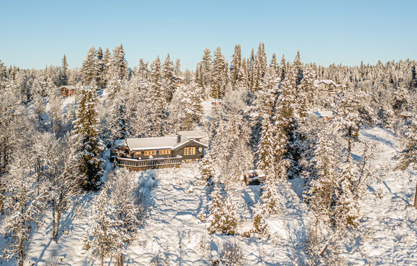 Feriehus - Golsfjellet , Norge - N33336 1