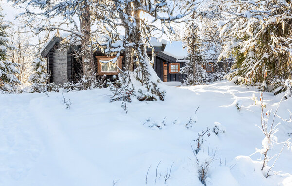Feriehus - Golsfjellet , Norge - N33336 81