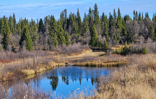 Domy wakacyjne - Golsfjellet , Norwegia - N33393 2