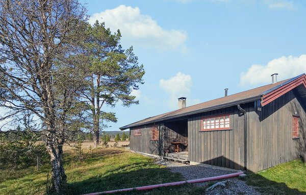 Feriehus - Golsfjellet , Norge - N33394 1