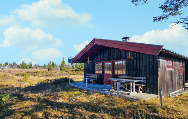 Feriehus - Golsfjellet , Norge - N33394 2