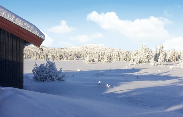 Feriehus - Golsfjellet , Norge - N33394 102