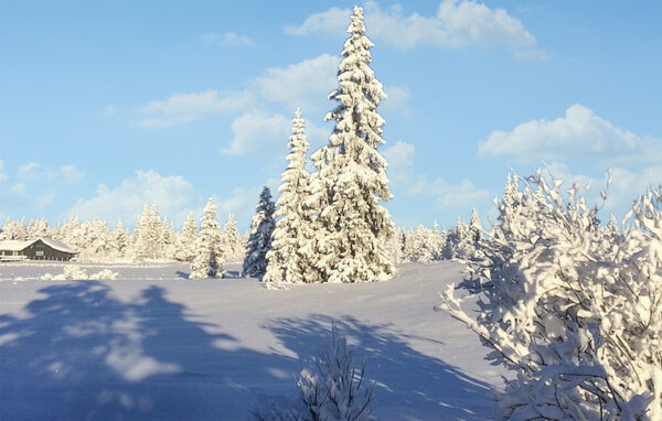 Feriehus - Golsfjellet , Norge - N33394 103