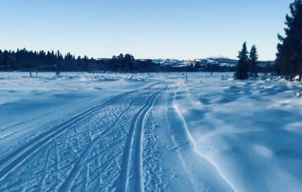 Feriehus - Golsfjellet , Norge - N33453 901