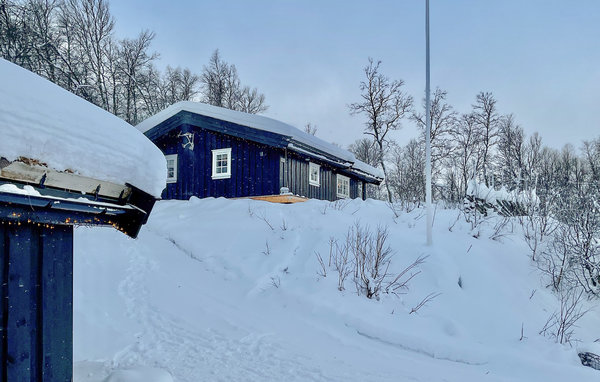 Ferienhaus - Hemsedal , Norwegen - N33455 83