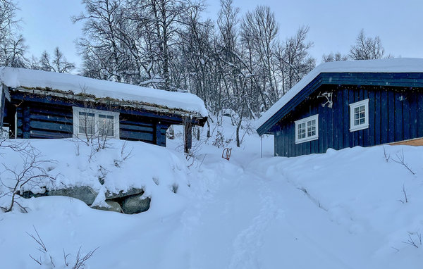 Ferienhaus - Hemsedal , Norwegen - N33455 85