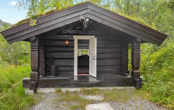 Ferienhaus - Hemsedal , Norwegen - N33455 103
