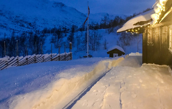 Ferienhaus - Hemsedal , Norwegen - N33455 109